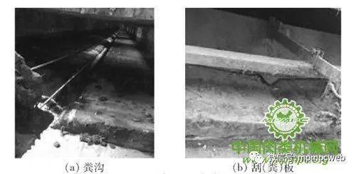 生豬養(yǎng)殖設(shè)施工程技術(shù)研究現(xiàn)狀與發(fā)展分析